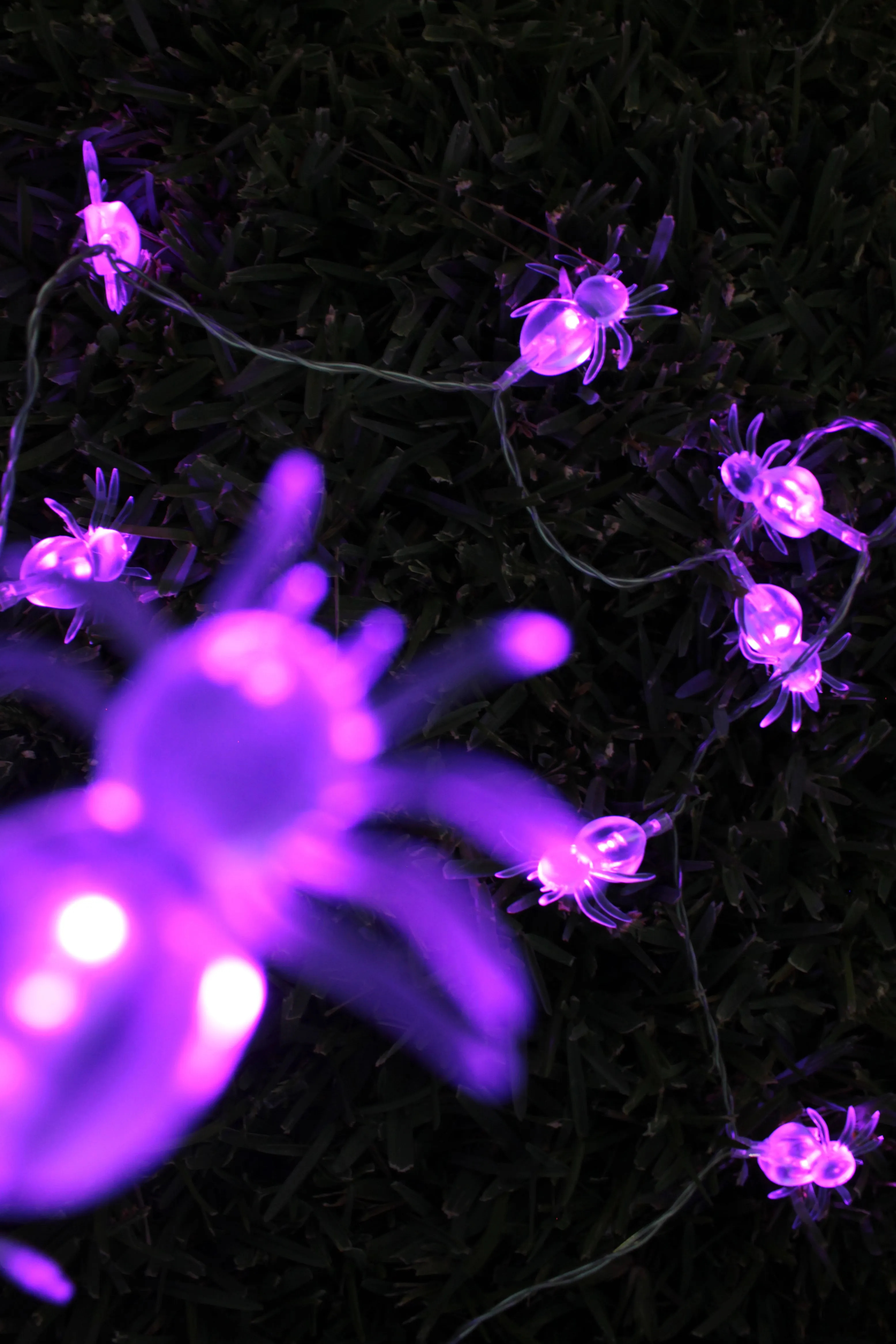 10 LED Fairy Light Battery Operated Purple Spider - White LED Purple Emit