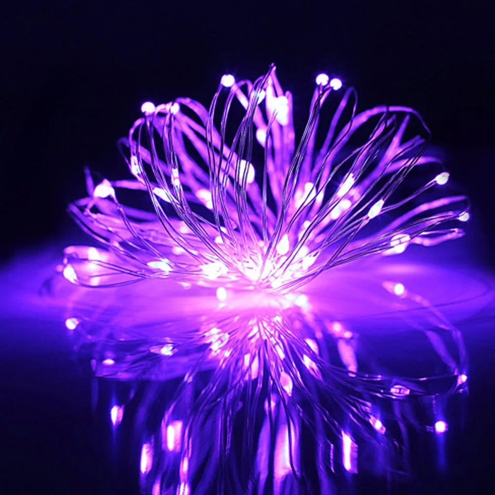 10ft 30 LED Microdot Indoor Battery Operated Lights - Purple