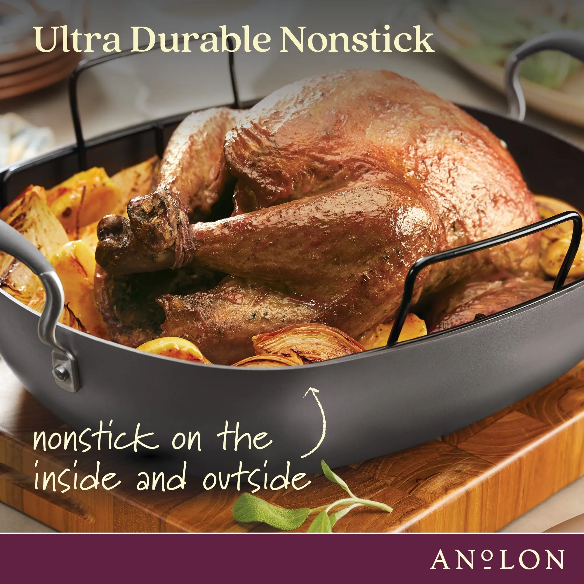 16-Inch x 13-Inch Hard Anodized Nonstick Roaster with Rack