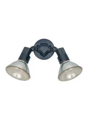 2 Light Adjustable Swivel Flood