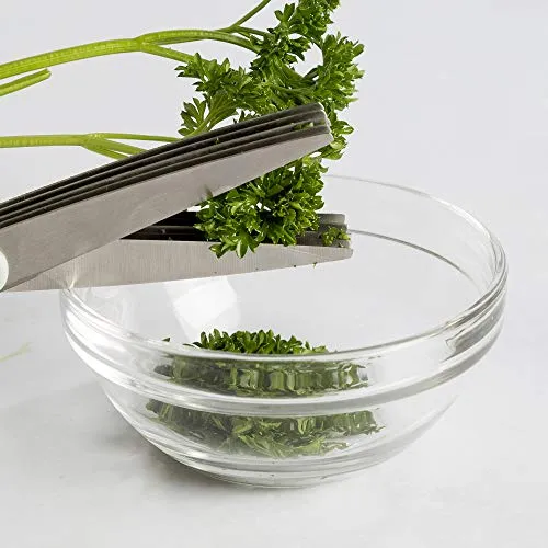 2-Piece Herb Shear Set with Guards