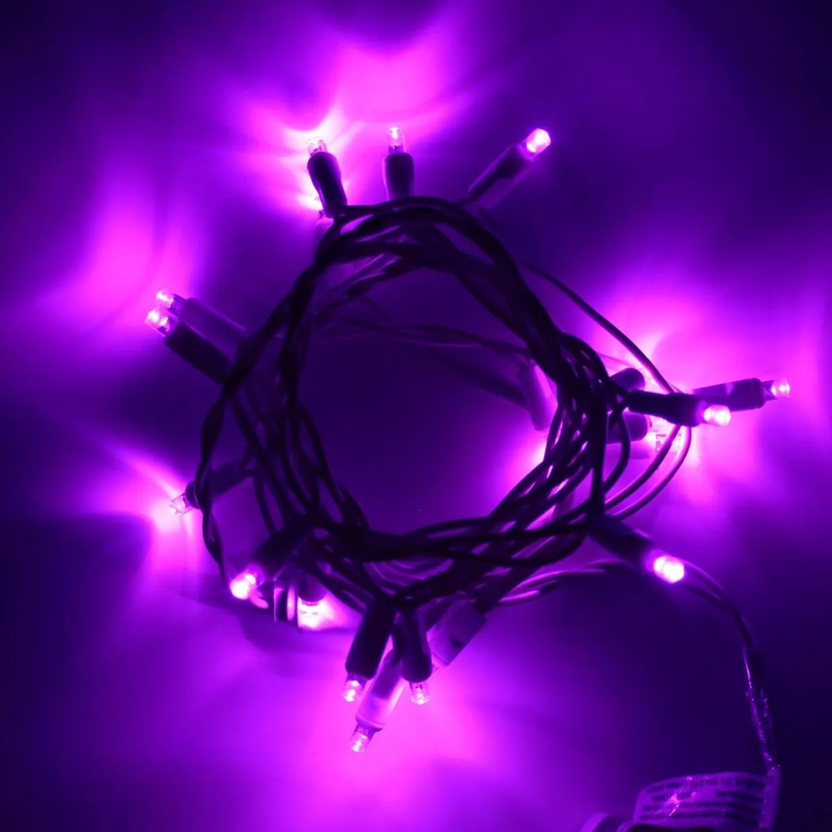 20-light Purple LED Craft Lights, White Wire