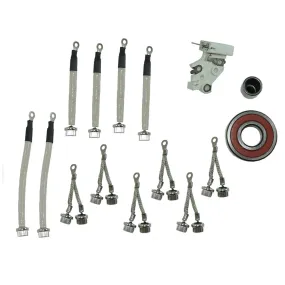 Balmar Offshore Repair Kit 95 Series 12/24V Includes Bearings, Brushes, Positive/Negative Diode