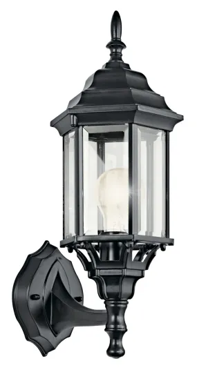 Chesapeake 1-Light Outdoor Wall Sconce