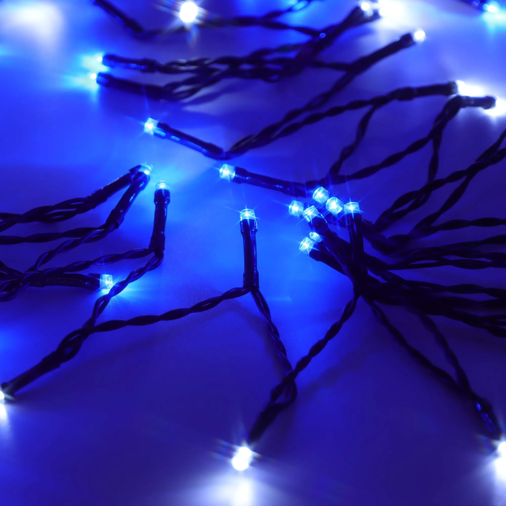 Christmas Sparkle Indoor and Outdoor Chaser Lights x 100 in Blue and White