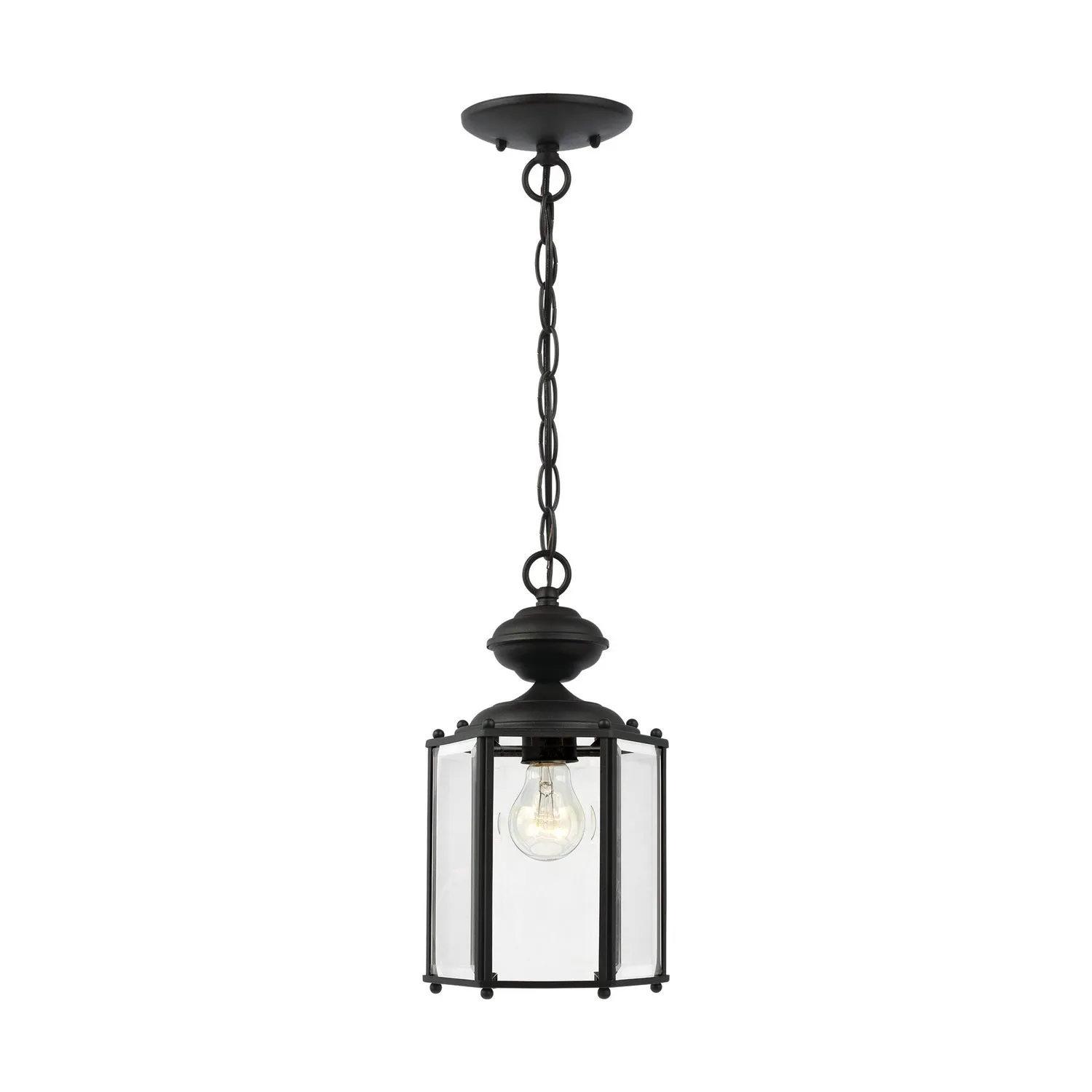 Classico 1-Light Outdoor Semi-Flush Convertible Pendant