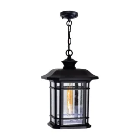 CWI Lighting Blackbridge 1-Light Outdoor Pendant