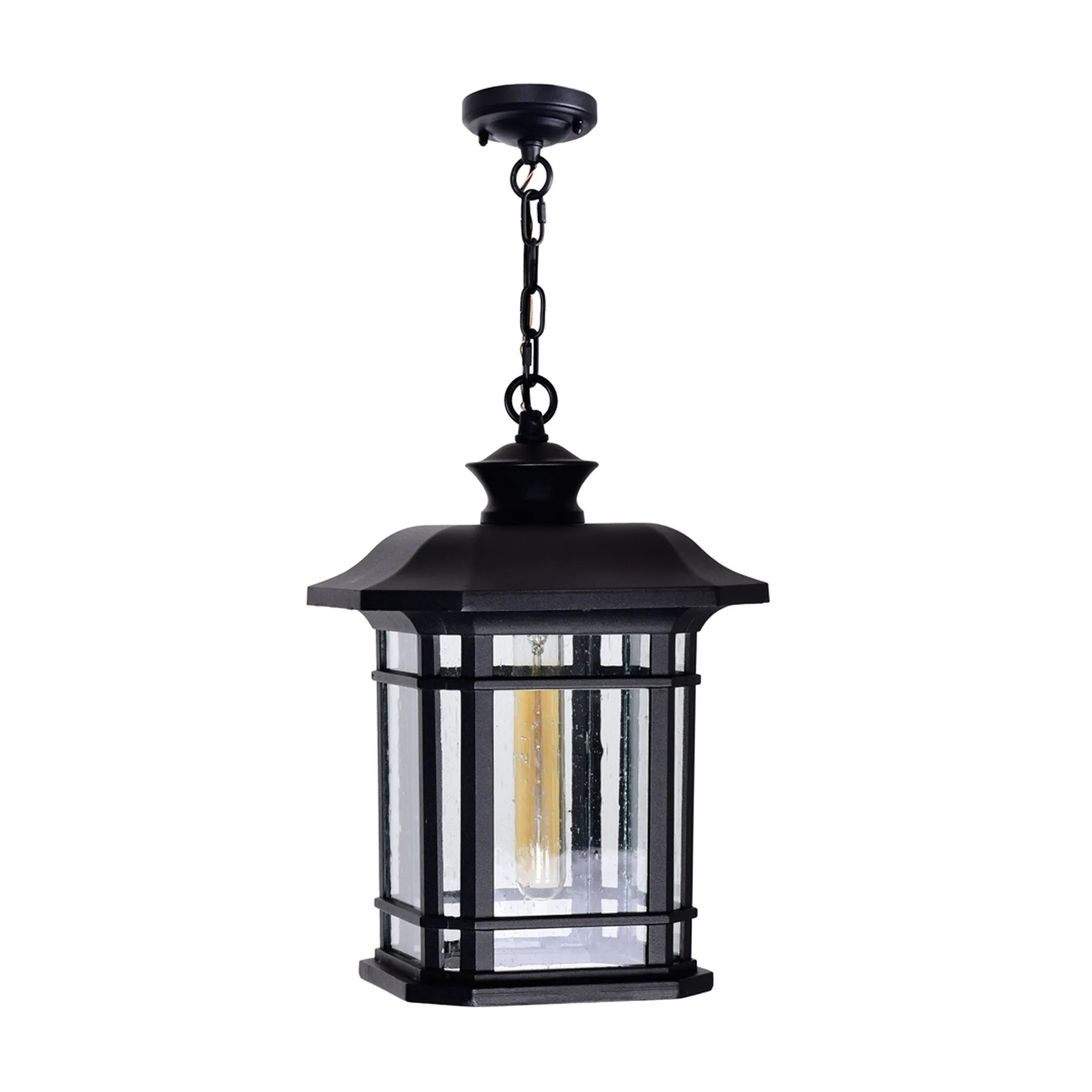 CWI Lighting Blackbridge 1-Light Outdoor Pendant