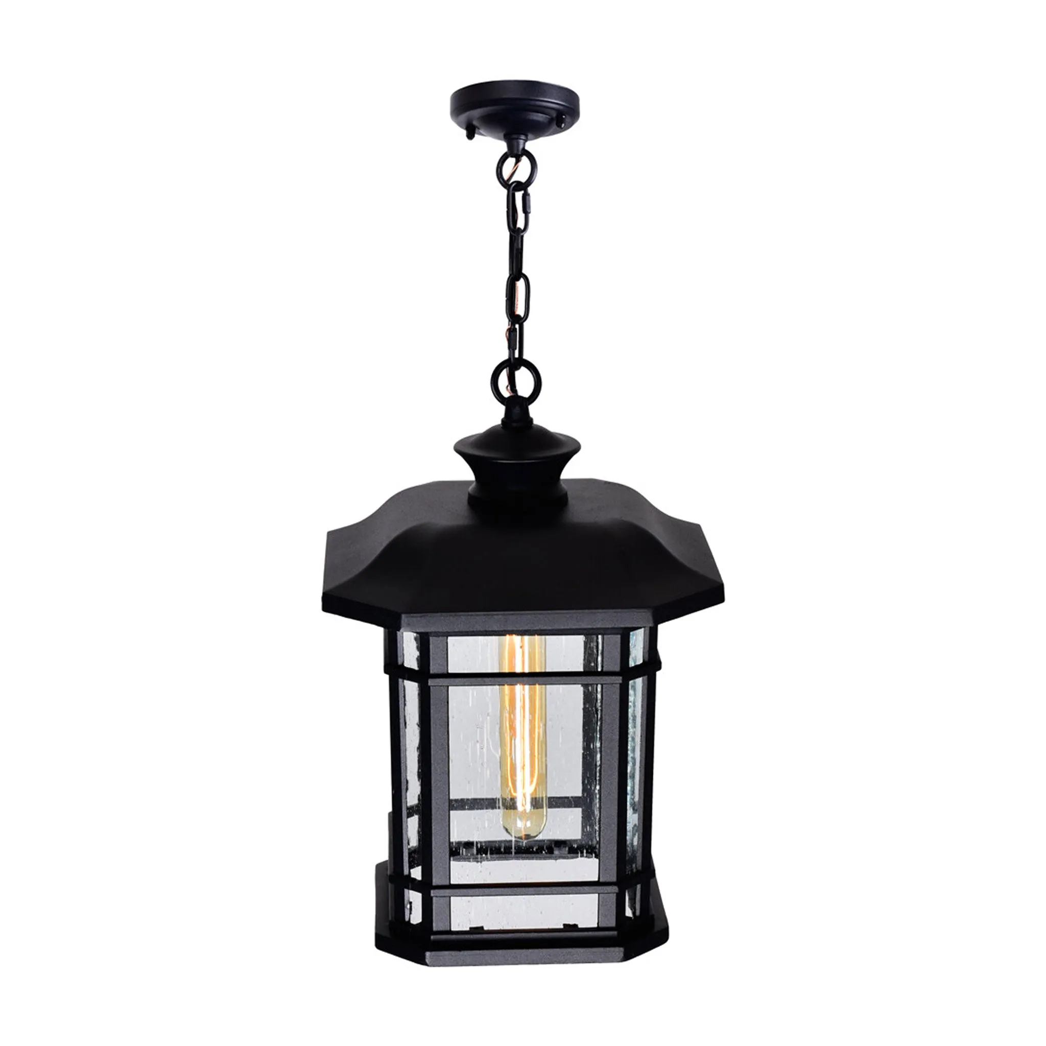 CWI Lighting Blackbridge 1-Light Outdoor Pendant