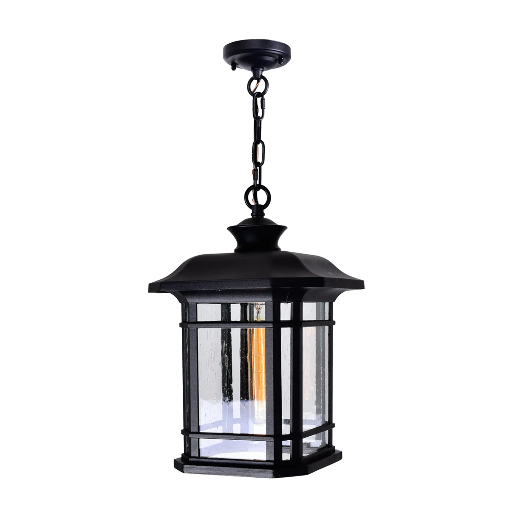 CWI Lighting Blackbridge 1-Light Outdoor Pendant