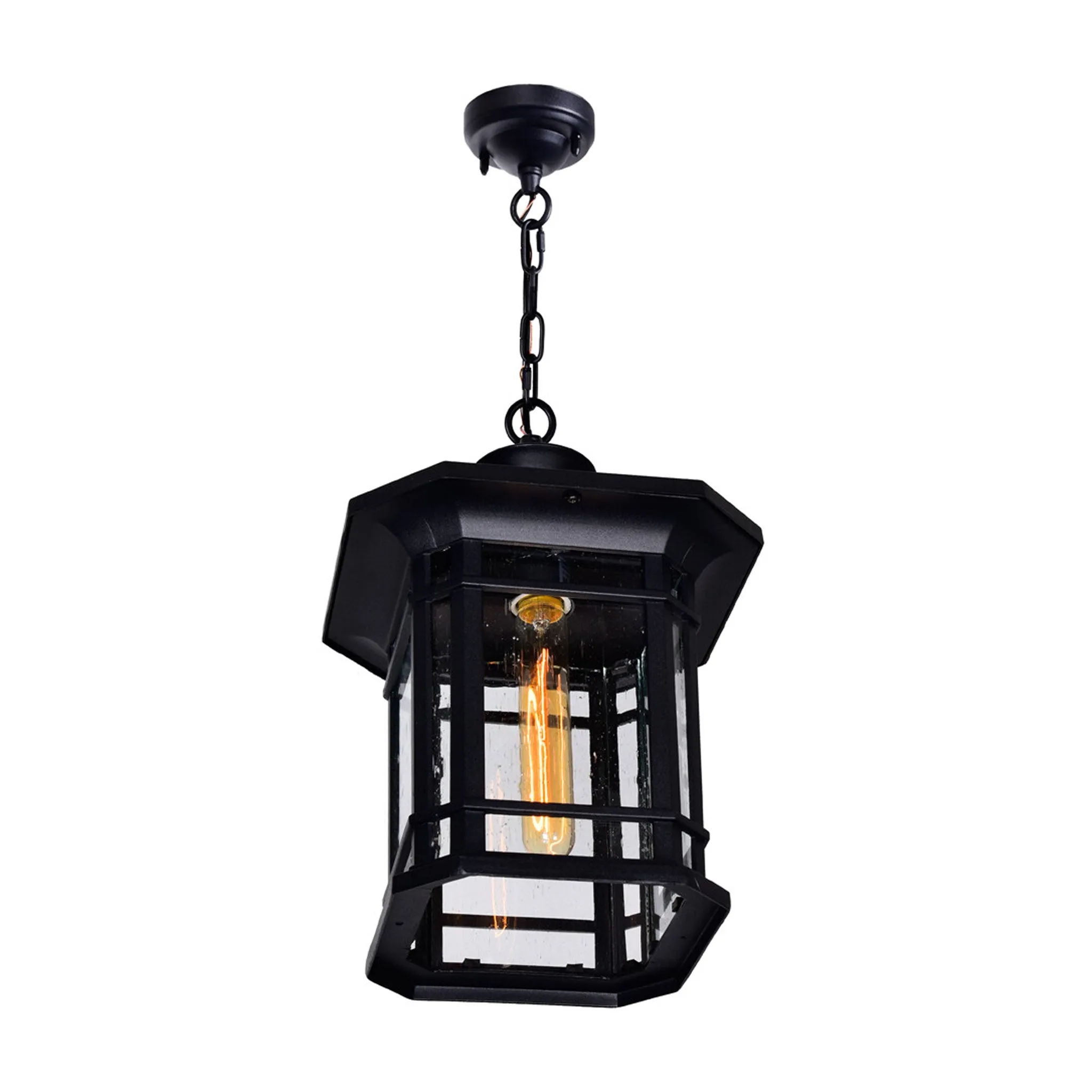 CWI Lighting Blackbridge 1-Light Outdoor Pendant