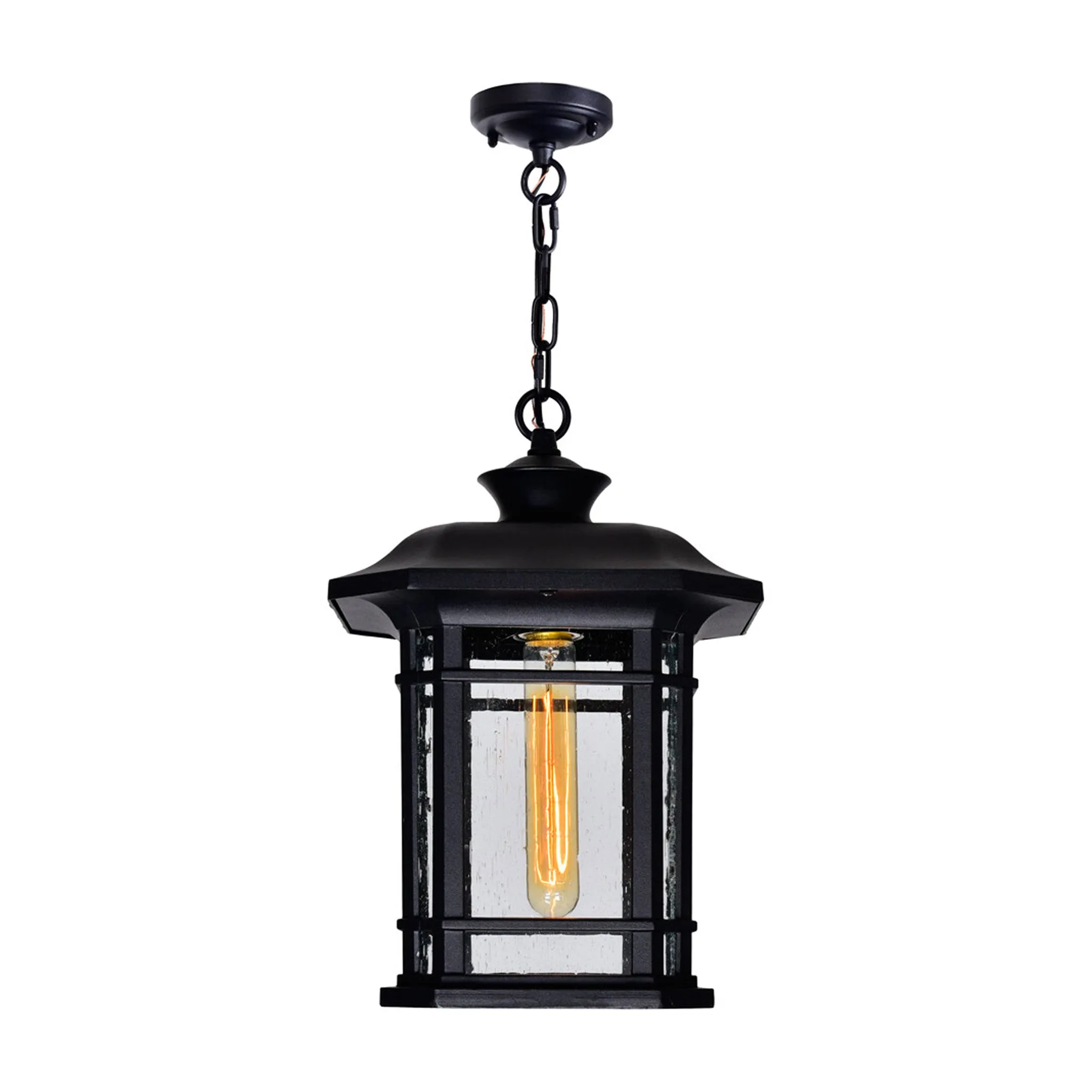 CWI Lighting Blackbridge 1-Light Outdoor Pendant