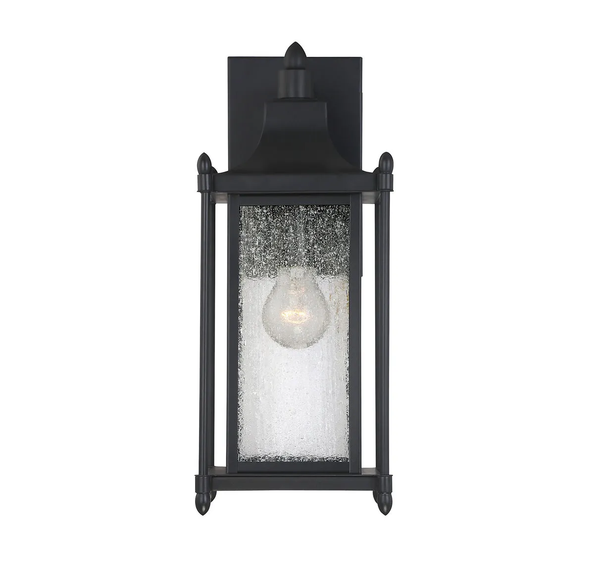 Dunnmore 1-Light Outdoor Wall Lantern in Black