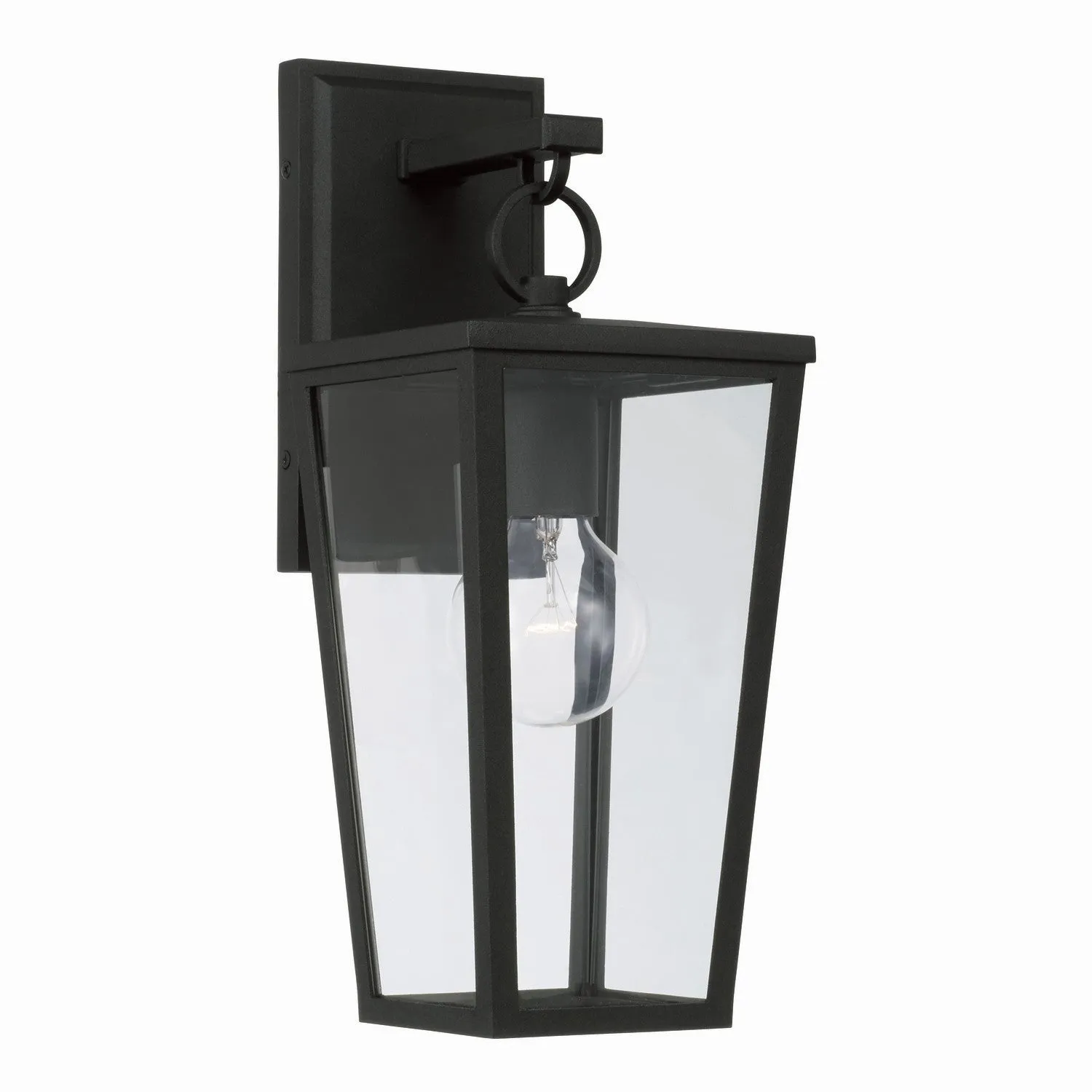 Elliott 1-Light Outdoor Wall Lantern