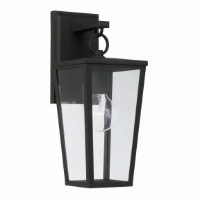 Elliott 1-Light Outdoor Wall Lantern