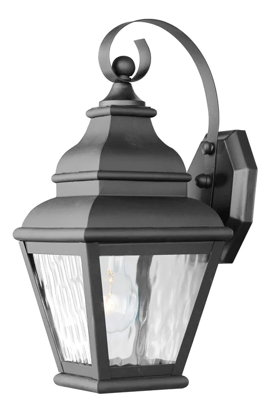 Exeter 1-Light Outdoor Wall Lantern