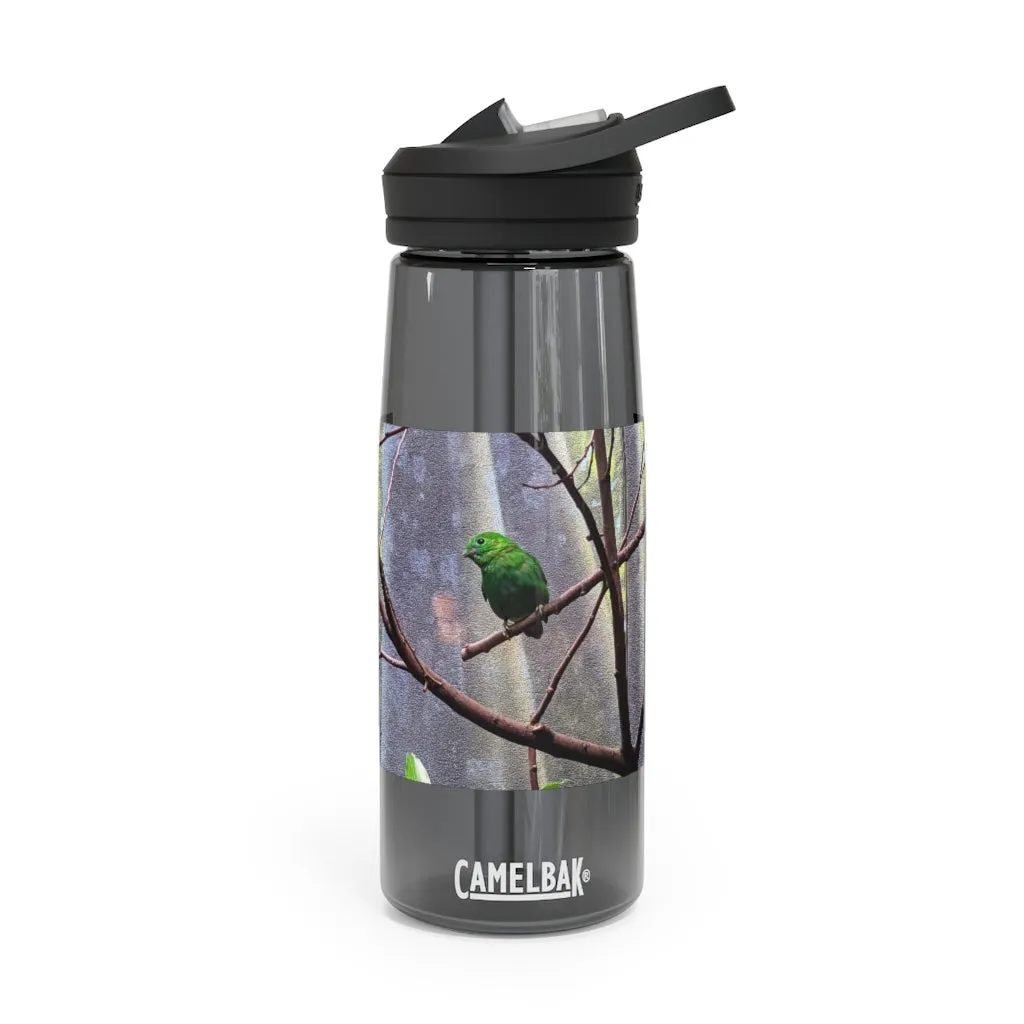 Green Bird CamelBak Eddy®  Water Bottle, 20oz\25oz