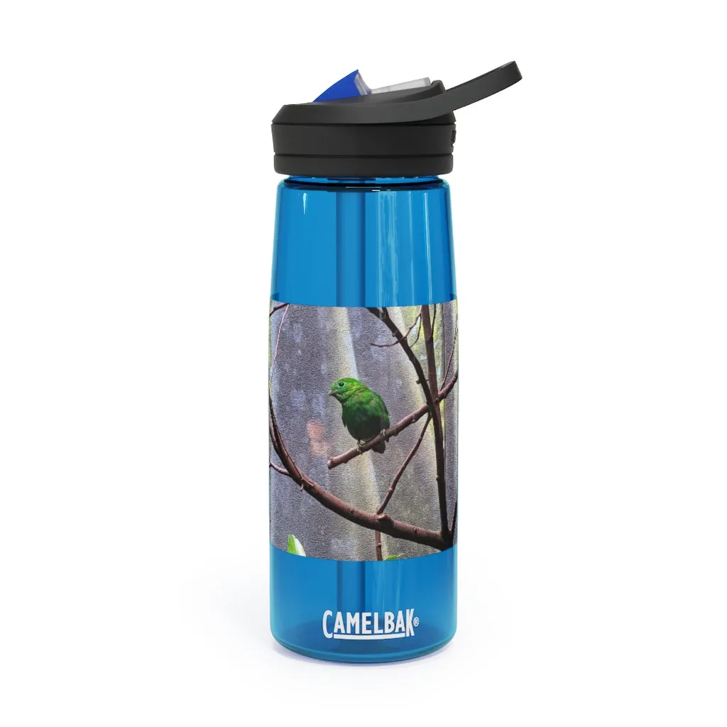 Green Bird CamelBak Eddy®  Water Bottle, 20oz\25oz