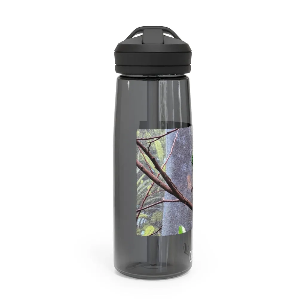 Green Bird CamelBak Eddy®  Water Bottle, 20oz\25oz