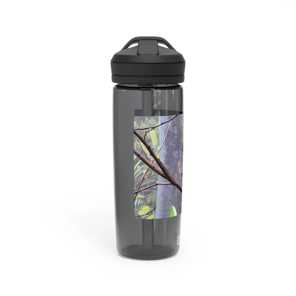 Green Bird CamelBak Eddy®  Water Bottle, 20oz\25oz