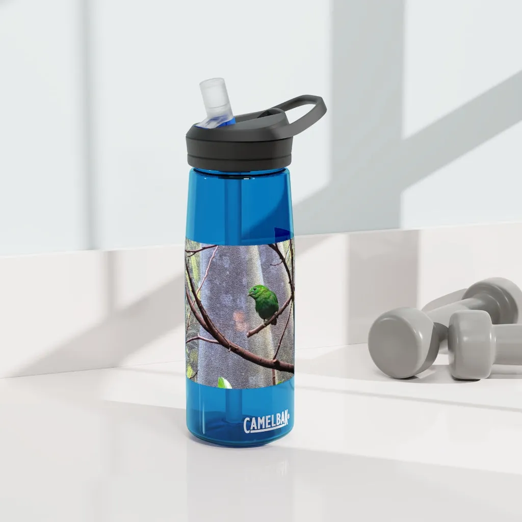 Green Bird CamelBak Eddy®  Water Bottle, 20oz\25oz