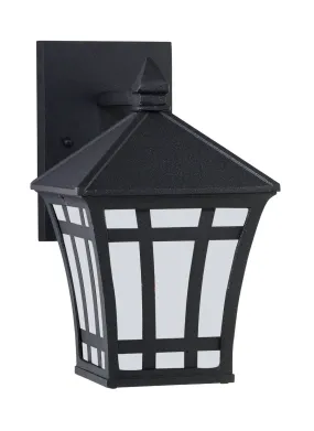 Herrington 1-Light Outdoor Wall Lantern