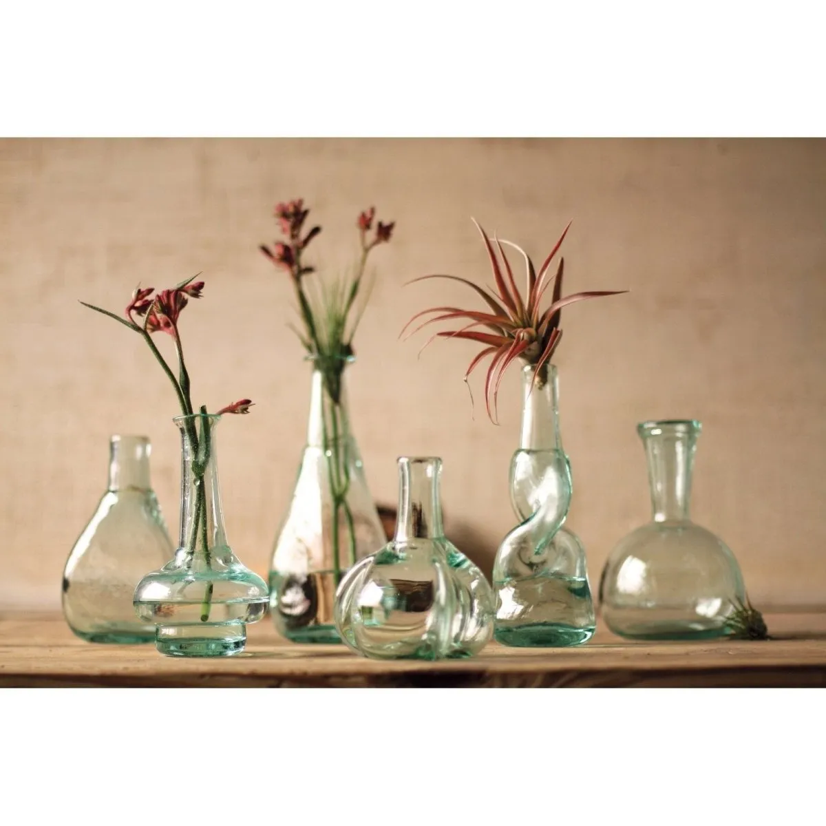 Kalalou - SET OF SIX BOTTLE BUD VASES - CRL5719