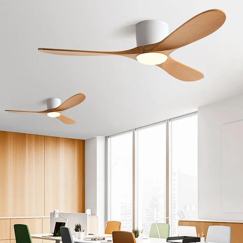 Katherine | Lighted Ceiling Fan