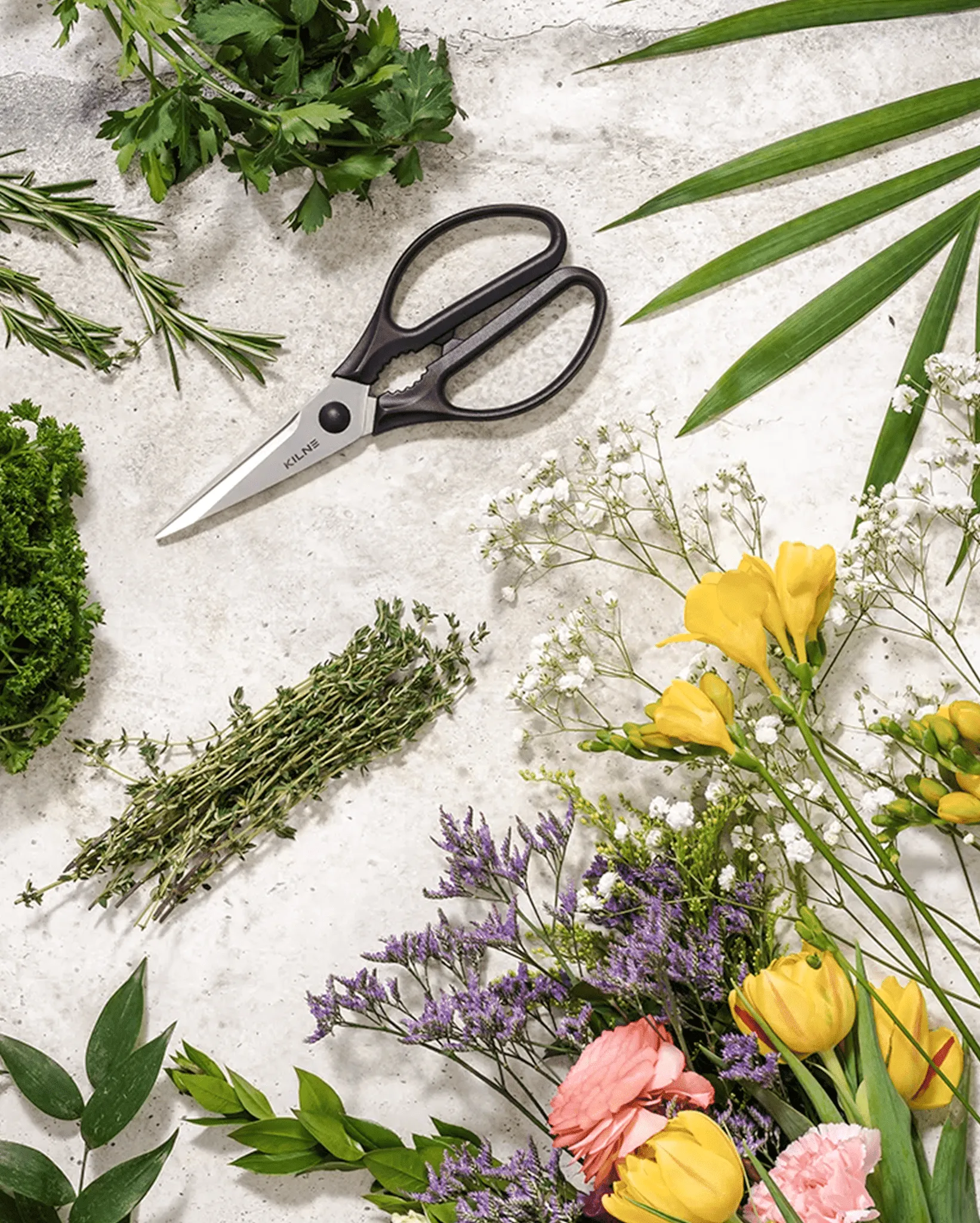 Kitchen Shears