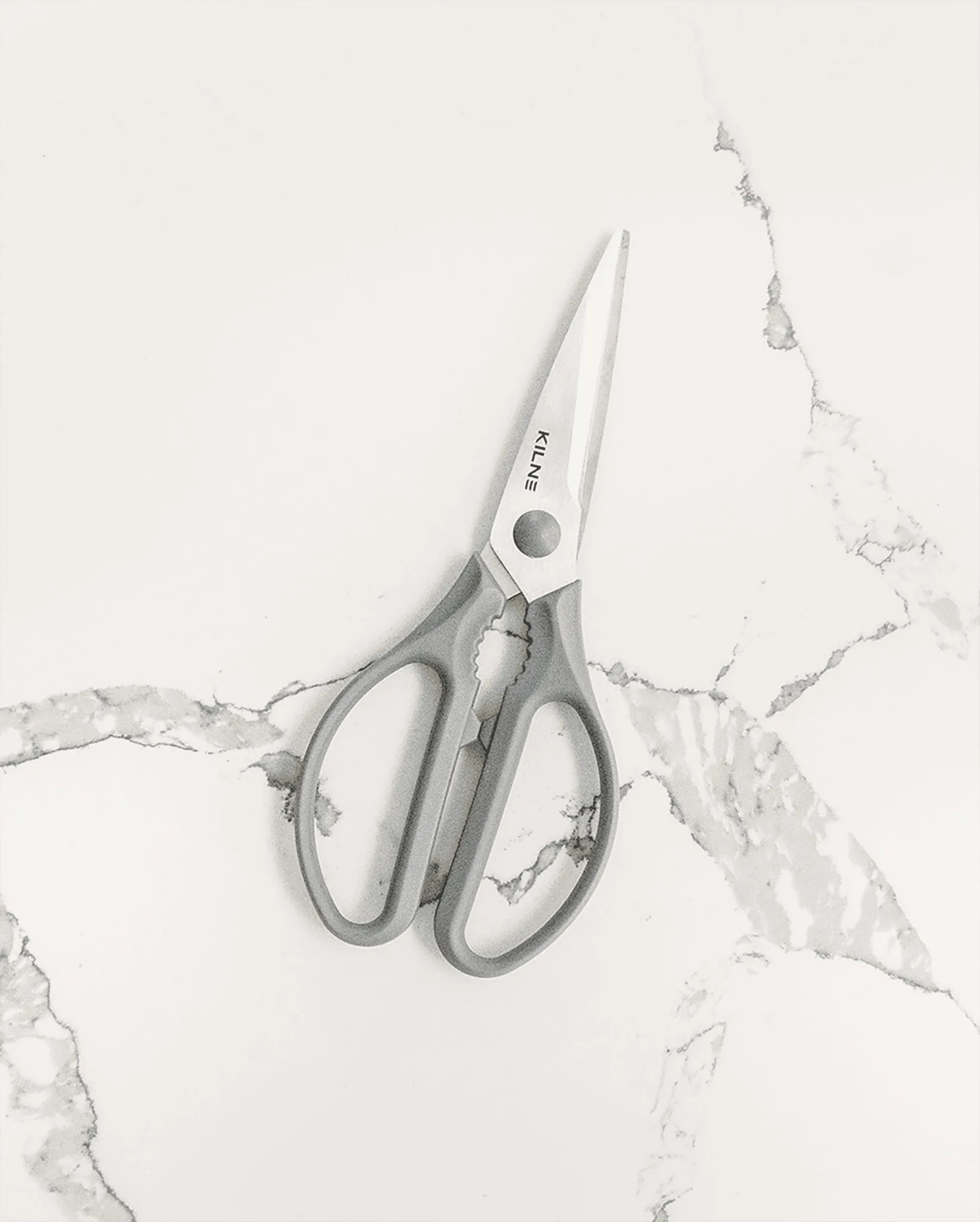 Kitchen Shears