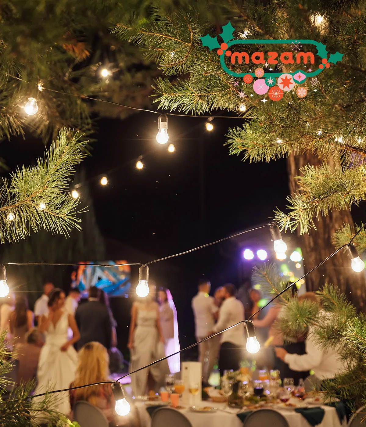 Mazam 60M LED Festoon String Lights Christmas Wedding Party Outdoor Waterproof