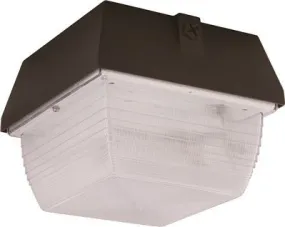 Monument Vandal-Resistant Exterior Floodlight With Aluminum Housing Bronze 1 150-Watt High-Pressure Sodium Lamp (Included)