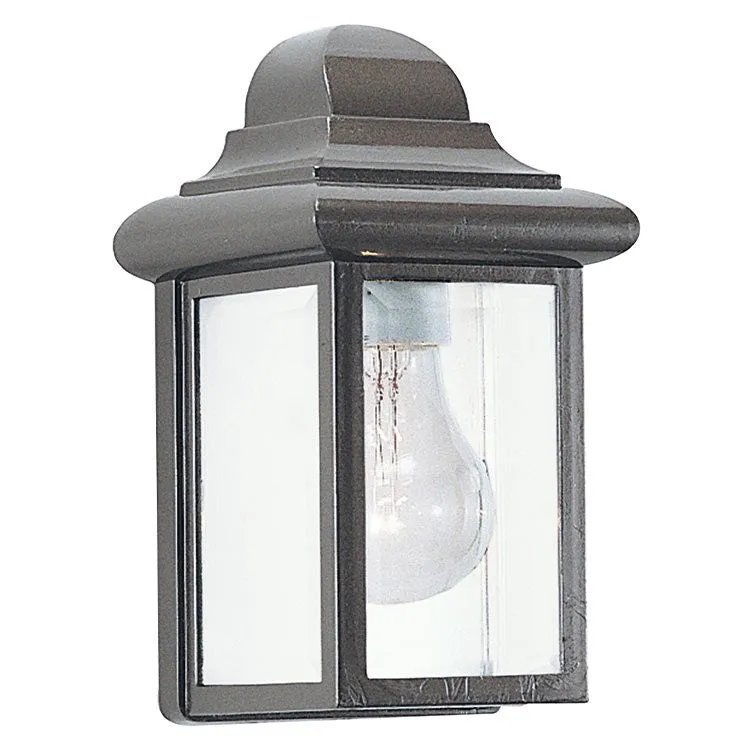 Mullberry Hill Single-Light Outdoor Wall Lantern