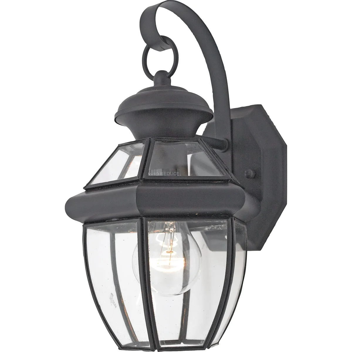 Newbury 1-Light Outdoor Lantern