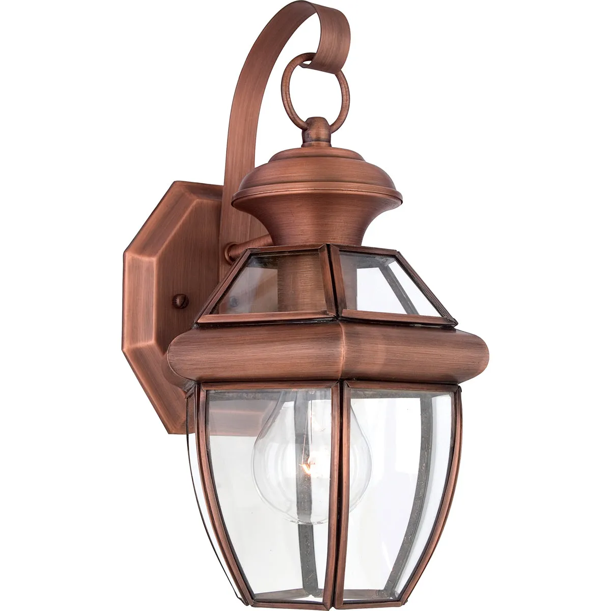 Newbury 1-Light Outdoor Lantern