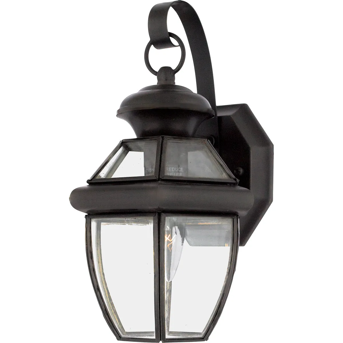 Newbury 1-Light Outdoor Lantern