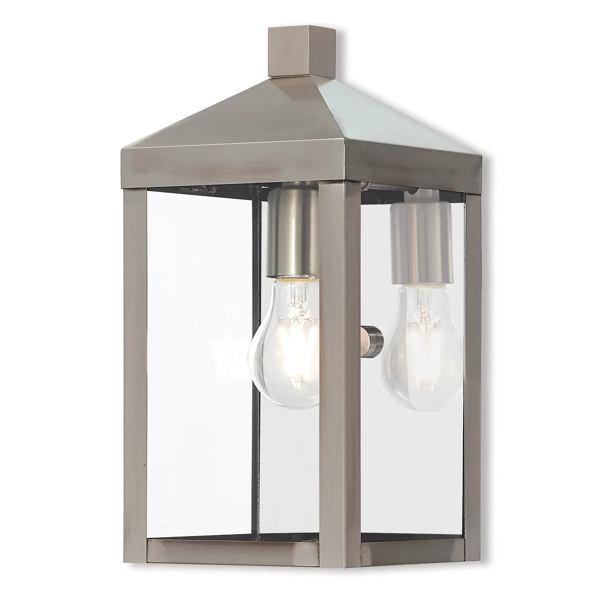 Nyack 1-Light Outdoor Wall Lantern