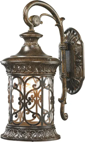 Orlean 1 Light Outdoor Sconce In Hazelnut Bronze