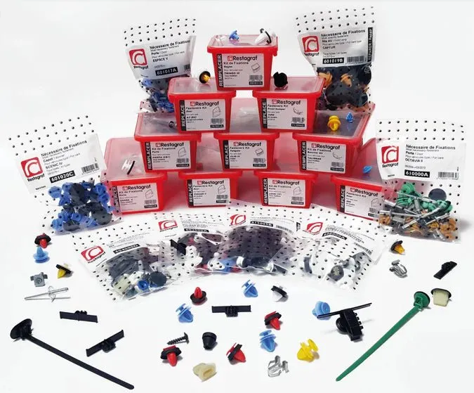 Restagraf Full Front Door Fixings & Fasteners Kit, Arkana (03.2021 →) , Renault A601011A , A6 01 011 A