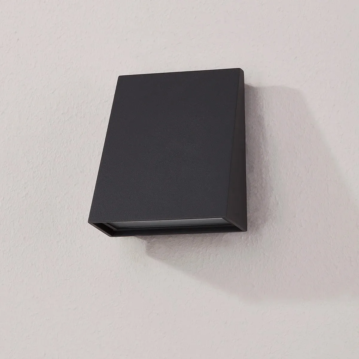 Roy Sconce - Black