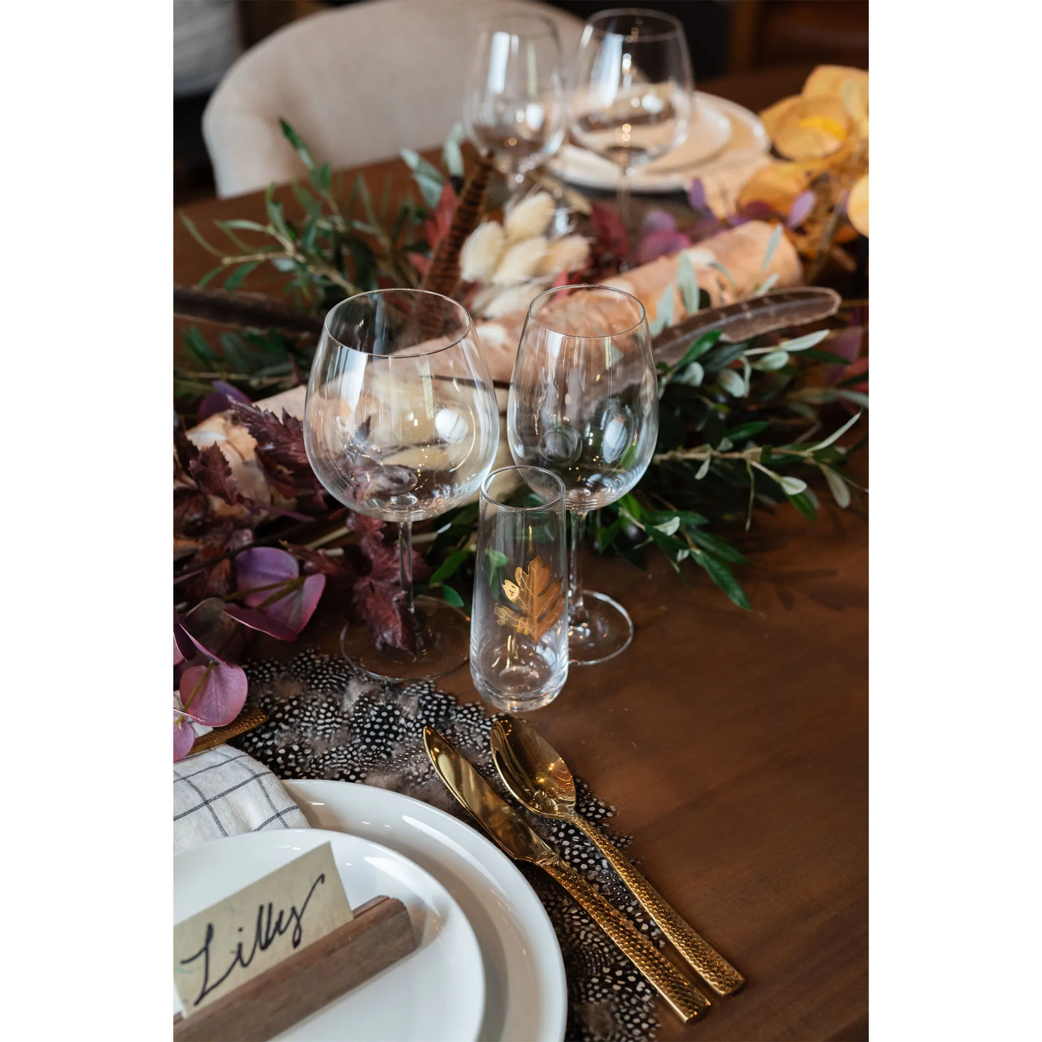 Schott Zwiesel Tritan Wine Glass