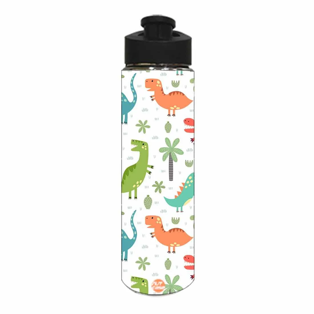 Sipper Bottle Return Gifts for Birthday Party for Kids - Dinosaurs