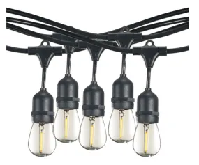 STRING10L/14FT/16IN/E26/BLACK/LED/S14 14' S14 BLK LED Bulbrite 812143