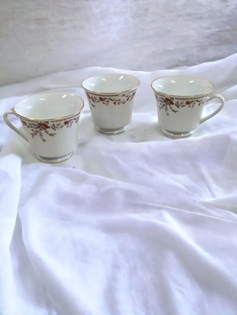 Tea Cup, saucers and Plate set