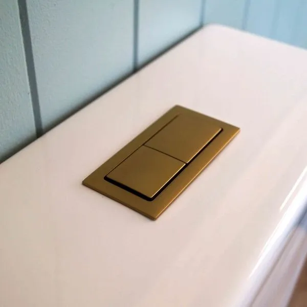 Turner Hastings Rectangle Brushed Brass Flush Button