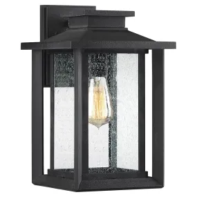 Wakefield 1-Light Outdoor Lantern