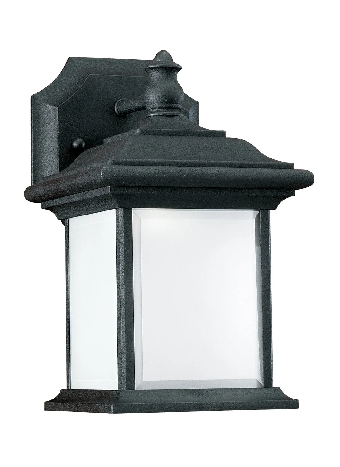 Wynfield 1-Light Outdoor Wall Lantern