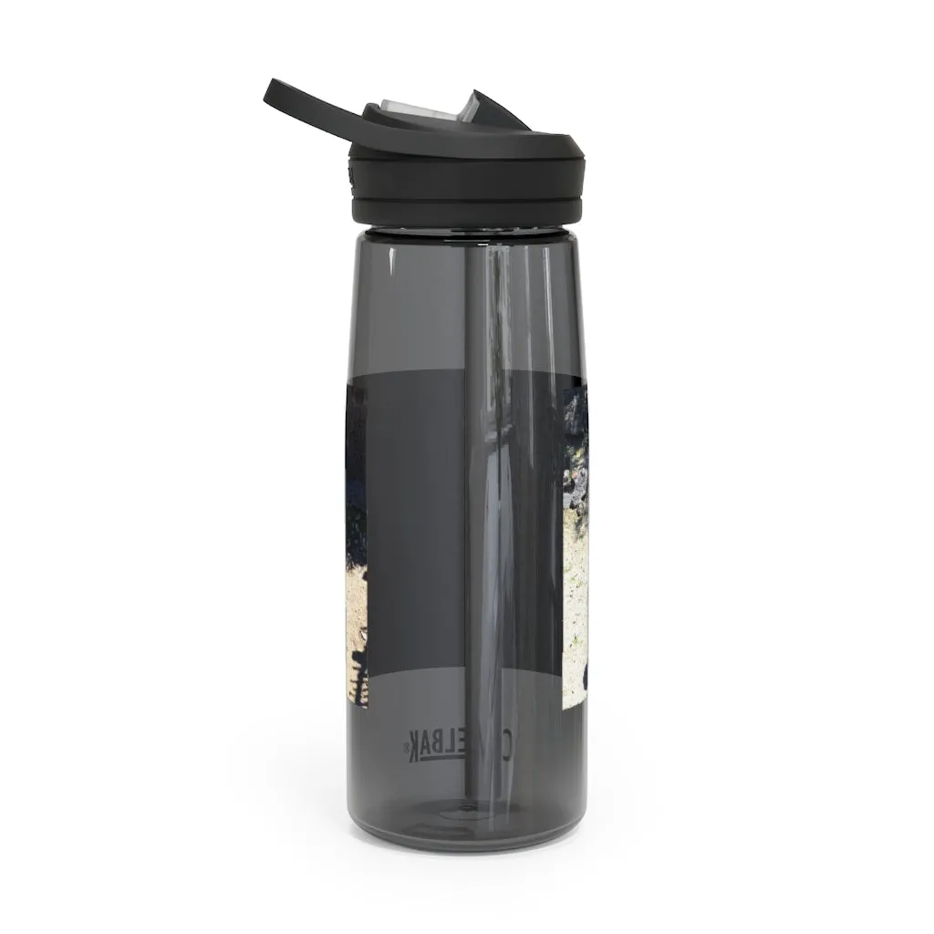 Zebra CamelBak Eddy®  Water Bottle, 20oz / 25oz