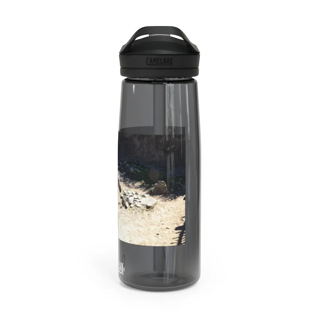 Zebra CamelBak Eddy®  Water Bottle, 20oz / 25oz