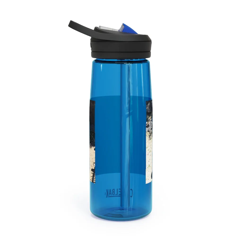 Zebra CamelBak Eddy®  Water Bottle, 20oz / 25oz